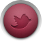 Share on Twitter